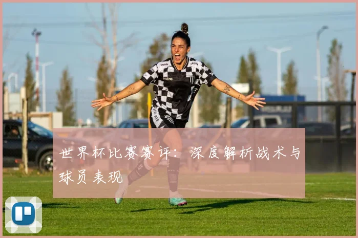 世界杯比赛赛评：深度解析战术与球员表现