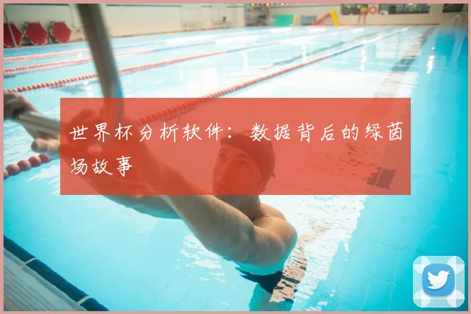 世界杯分析软件：数据背后的绿茵场故事