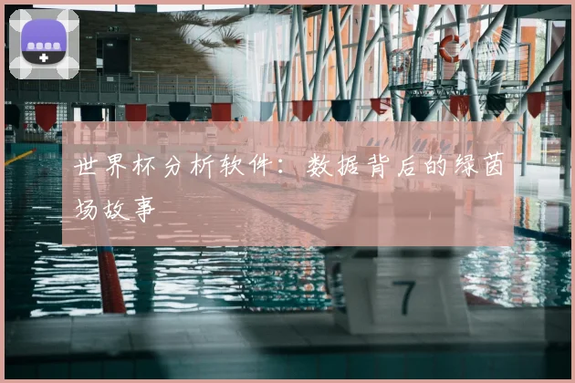 世界杯分析软件：数据背后的绿茵场故事