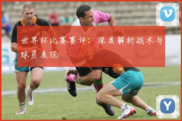 世界杯比赛赛评：深度解析战术与球员表现