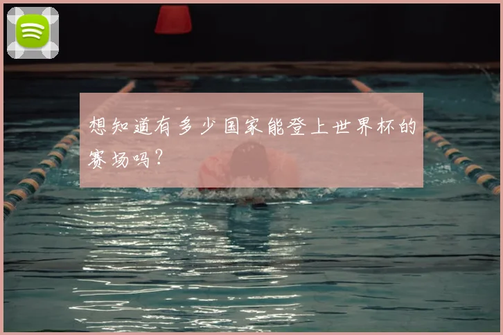 想知道有多少国家能登上世界杯的赛场吗？
